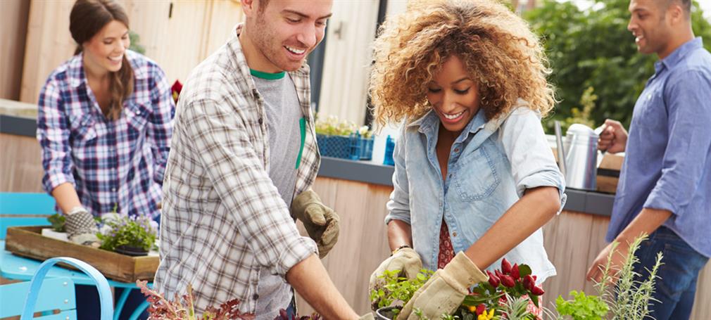 Drivhuse til byhaven eller urban gardening