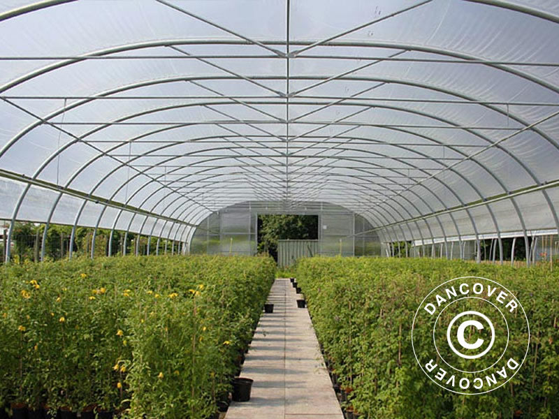 Drivhustunnel til gartnerier, 9,7x16x3,95m, Transparent