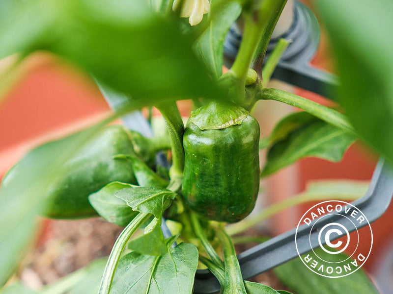 Plantestøtte, CHILI BUDDY, Antracit/Sølv