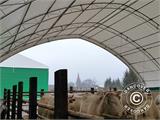 Capannone tenda/tunnel agricolo 15x15x7,42m, PVC, Verde