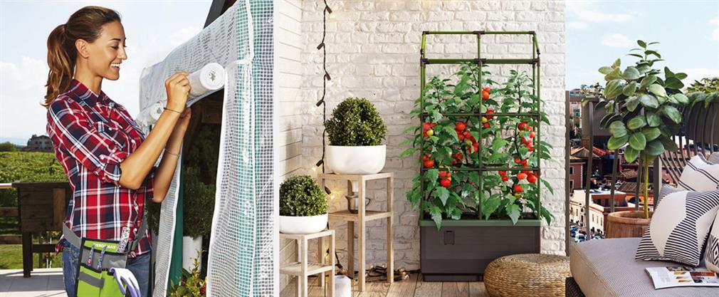 Små drivhuse og vægdrivhuse