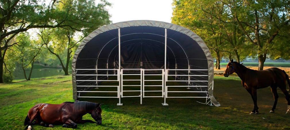 Rundbuehal til heste