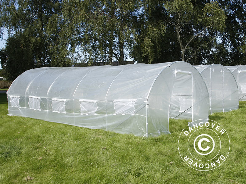 Polytunnel Drivhus 4x8x2m, 32m², Transparent