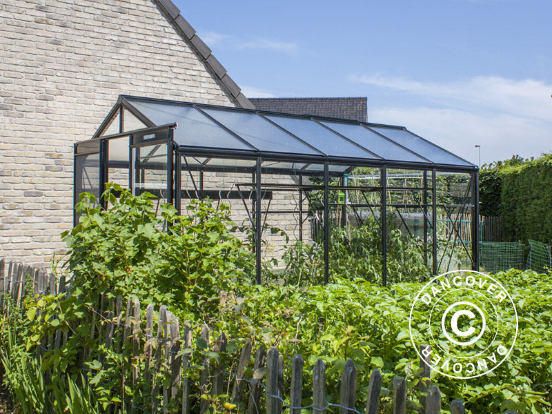 ACD Drivhus glas, FLORA 11,3m², 3,06x3,71x2,59m, Sort