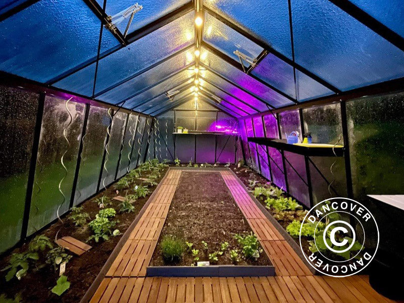 ACD Drivhus glas, VESTA 22,5m², 3,8x5,93x2,53m, Sort