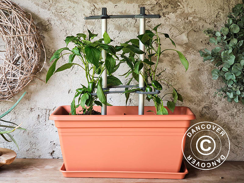 Plantestøtte, CHILI BUDDY, Antracit/Sølv