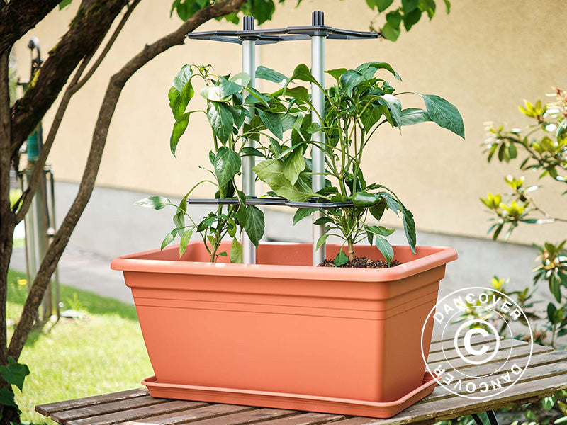 Plantestøtte, CHILI BUDDY, Antracit/Sølv