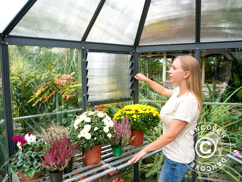 Orangeri, drivhus polycarbonat OASIS, Sekskantet 8,6m², Palram/Canopia, 3,16x3,63x2,89m, Antracit