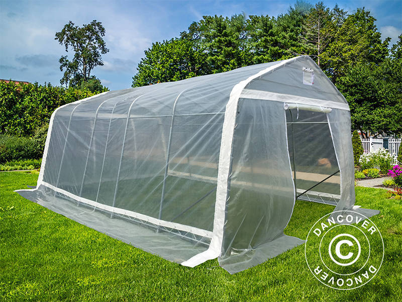 Polytunnel Drivhus, 3,6x6x2,68m, PE, 21,6m², Transparent